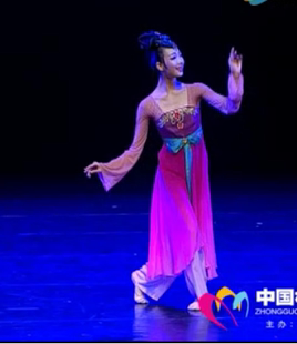 簪花记专业定制特价 红果果舞台演出服饰桃李杯古典舞蹈服装