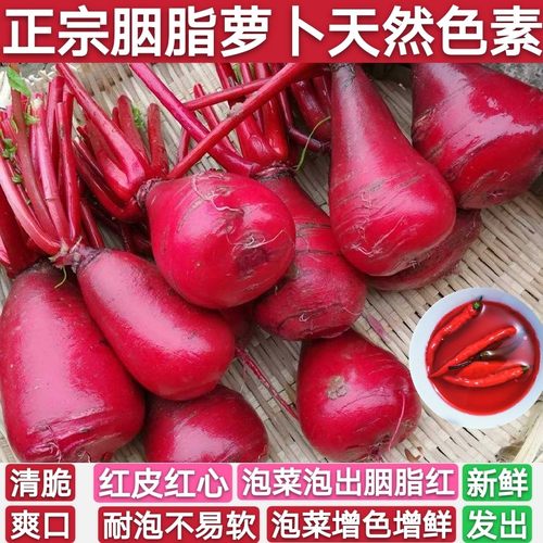 重庆涪陵红心萝卜新鲜透心红胭脂萝卜红皮红心泡菜萝卜非紫美人