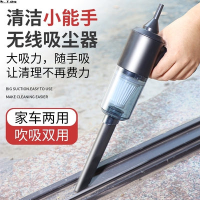 Portable dust blower, household appliance, pet hair dryer
