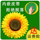 向日葵舞蹈道具仿真花运动会入场开幕式 手持花幼儿园手拿花太阳花