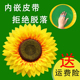 向日葵舞蹈道具仿真花运动会入场开幕式 手持花幼儿园手拿花太阳花