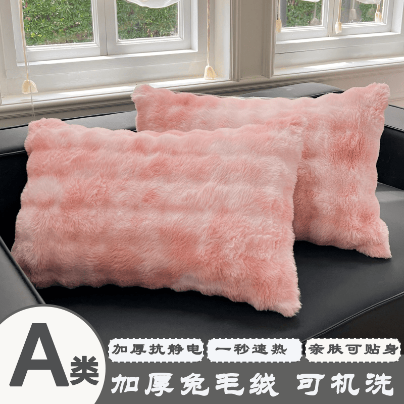 秋冬季一对装枕头套牛奶珊瑚绒