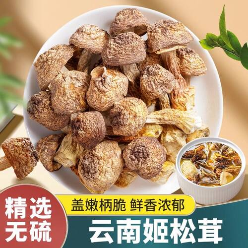 云南特产本色姬松茸干货蘑菇巴西菇煲汤炒菜新鲜无熏硫散装菌菇