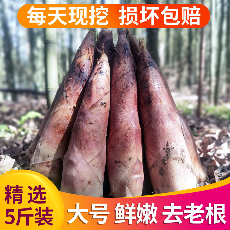 新鲜春笋现挖雷竹笋5斤油焖白笋浙江临安天目腌笃鲜农家时鲜蔬菜,水产肉类/新鲜蔬果/熟食,竹笋,淘宝优惠券,粉丝福利购,淘宝优惠卷