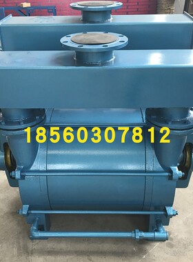 水环式真空泵2BEA-103/153/202/203/252/253/303/353瓦斯抽排放