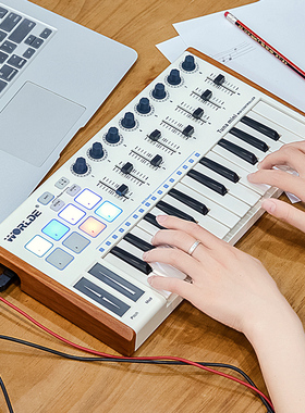 Worlde midi编曲键盘 便携电音电子音乐键盘初学者控制器25键