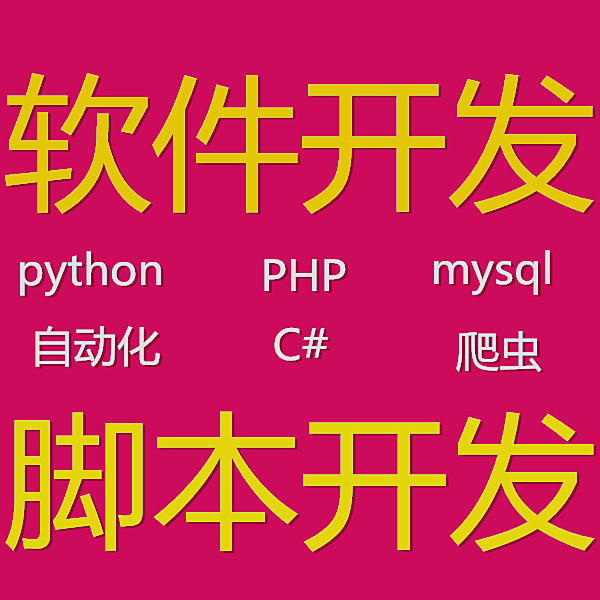 定制做软件程序开发数据分析
