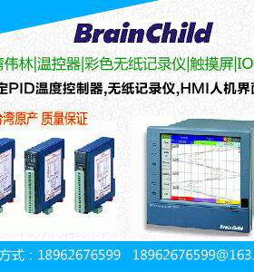 台湾伟林无纸记录仪VR18-4600-011-616以太网通讯接口BrainChild