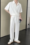 2025高级短袖polo衫宽松松紧直通阔腿休闲裤套装A202TZ2015P115，男装T恤，星座1311（原A202）