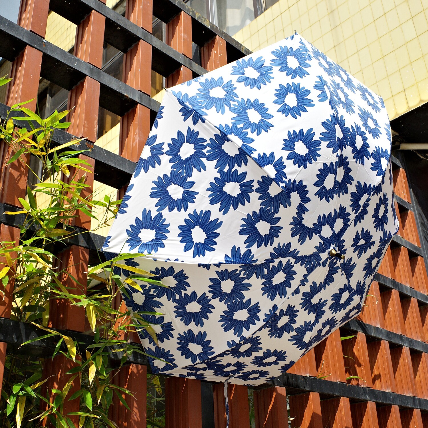 玛格丽特花大雏菊法式田园风格两节黑胶防晒夏日女伞竹子伞柄复古