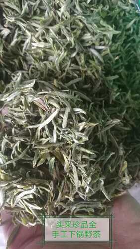 珍品野茶全手工深山野茶黄山毛峰人迹罕至超高海拔头采2026年新茶