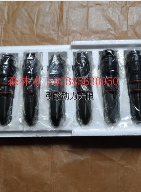 CUMMINS康明斯柴油发动机 喷油器4914537喷油嘴 喷咀WB400 搅拌机