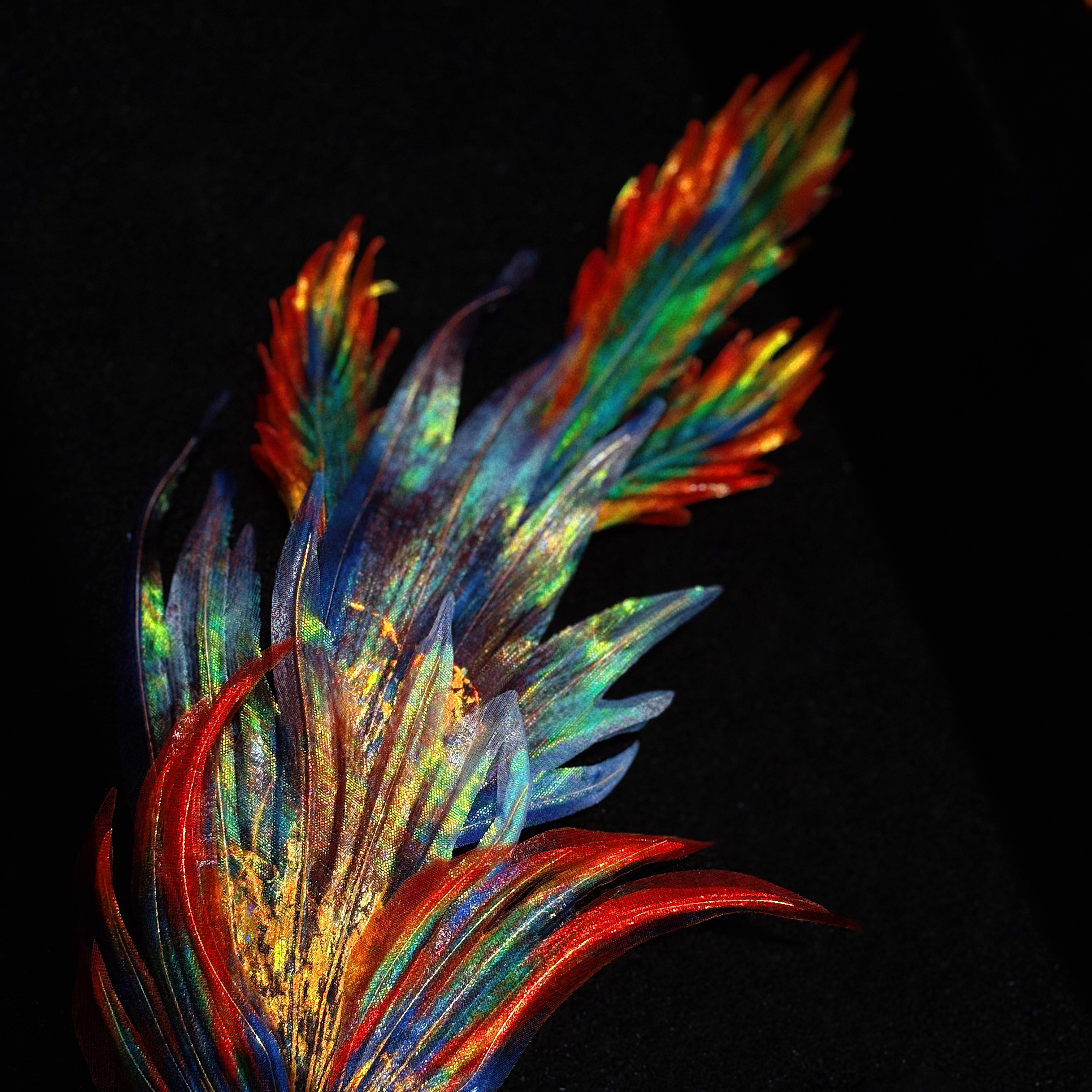 黑彩凤凰幻彩真丝绢花原创设计手工定制游园惊梦黑锦鲤同款发夹