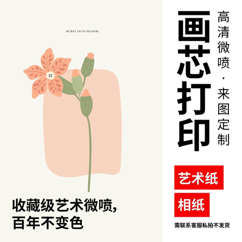 装饰画来图定制微喷画心相纸印刷喷绘打印批量加工画芯字画订制