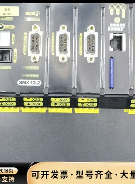 进口BBH PRODUCTS运动控制器 SMX 12-2,