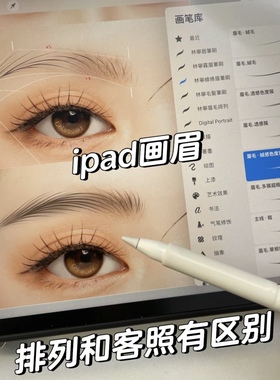 林宁ipad眉型设计系统课  procreate野生线条眉笔刷 仅笔刷素材