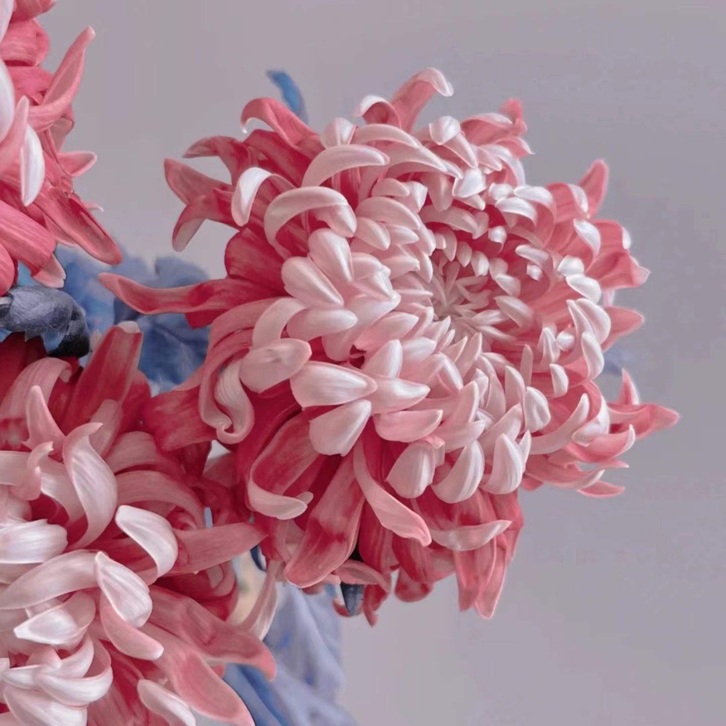 痔核疮植物精油高配版消有症状肉球肉赘内外混合肛周流血红肿痒痒