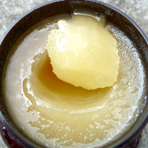 阿本丽云南深山野生大树蜂蜜