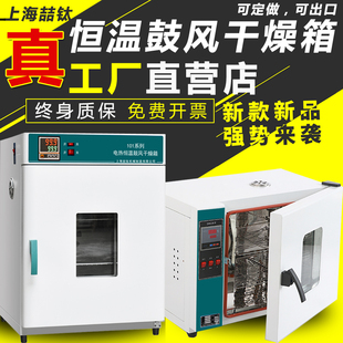 101-1工业鼓风干燥箱恒温烘箱电热烘干机实验室高温老化烤箱试验