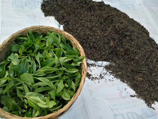 勐库大雪山源头生产冰岛核心茶区2024年大雪山古树晒红茶散茶