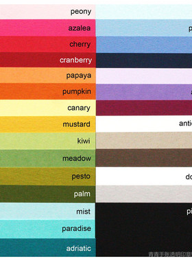 Hero arts 多色款A4高级彩纸 Premium Cardstock手账装饰手工卡纸