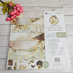 Prima marketing 绚烂当下 In The Moment 进口12寸双面纸本