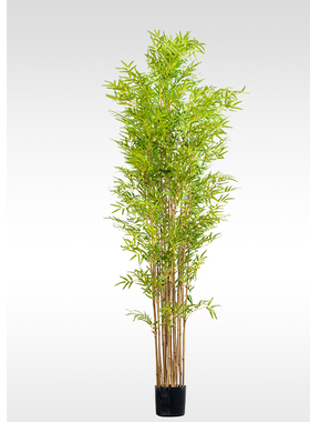 仿真竹子盆栽家具样板间售楼处酒店服装店假植物绿植装饰摆件