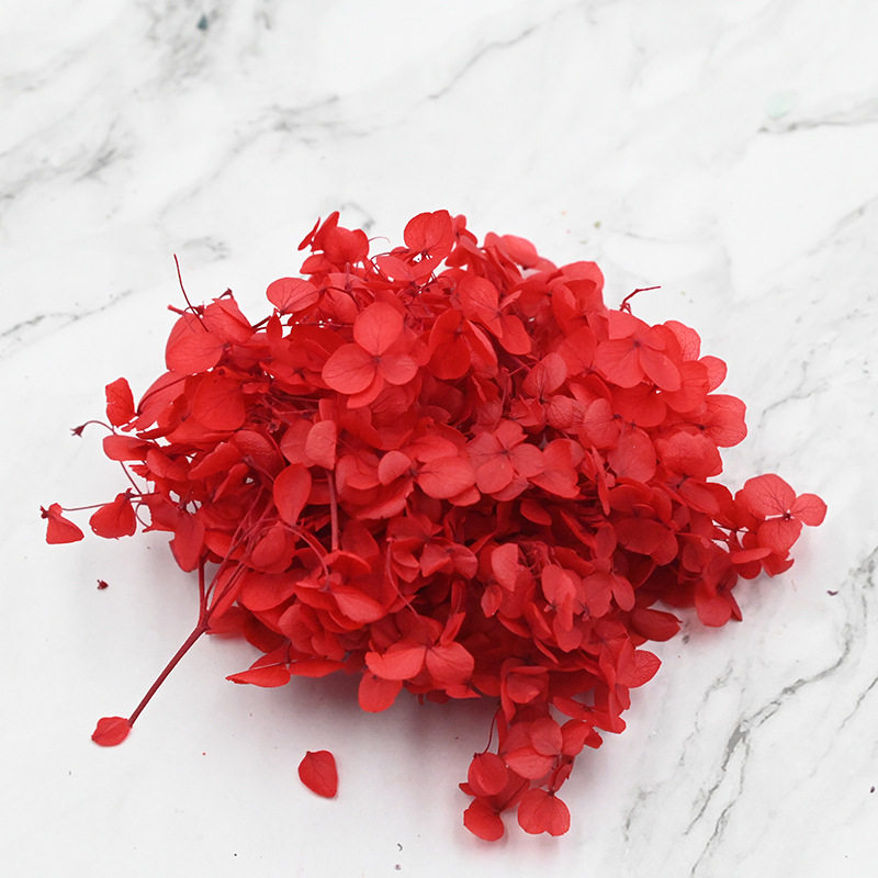 幻花永生花瓣DIY材料特价绣球婚鞋盒礼物詹姆斯科比C罗梅西球衣