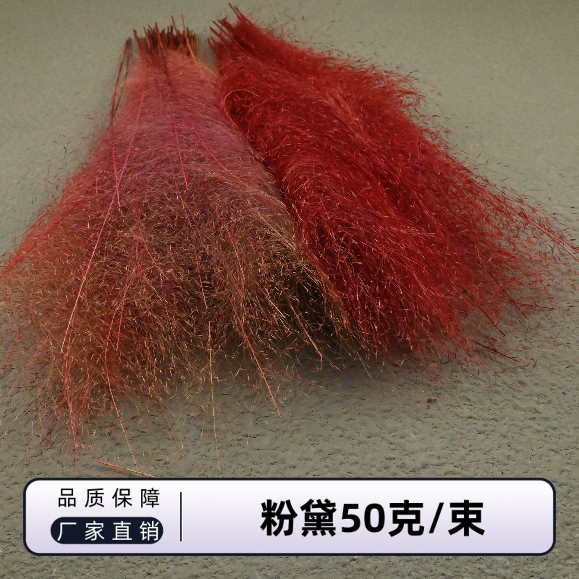 幻花永生花粉黛50克/束diy室内乱子草多年生观赏草网红草种子四季