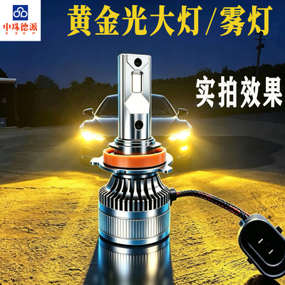 黄金光大灯雾灯H7H1190059006
