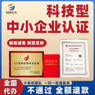 科技型中小企业认定申报全国高新技术企业创业项目奖金补助备案