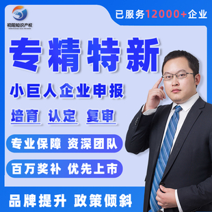 专精特新小巨人申报中小企业项目高企认定补贴管理体系认证申请