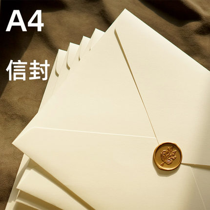 A4纯白信封 空白简约加厚 不反光 尺寸31*22cm