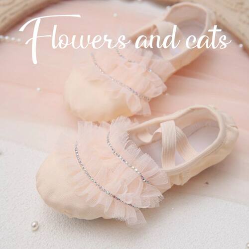 【Flowersandcats】中国舞鞋