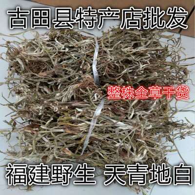 天然天青地白草 细叶鼠曲草 清明草 全草干货500g包邮