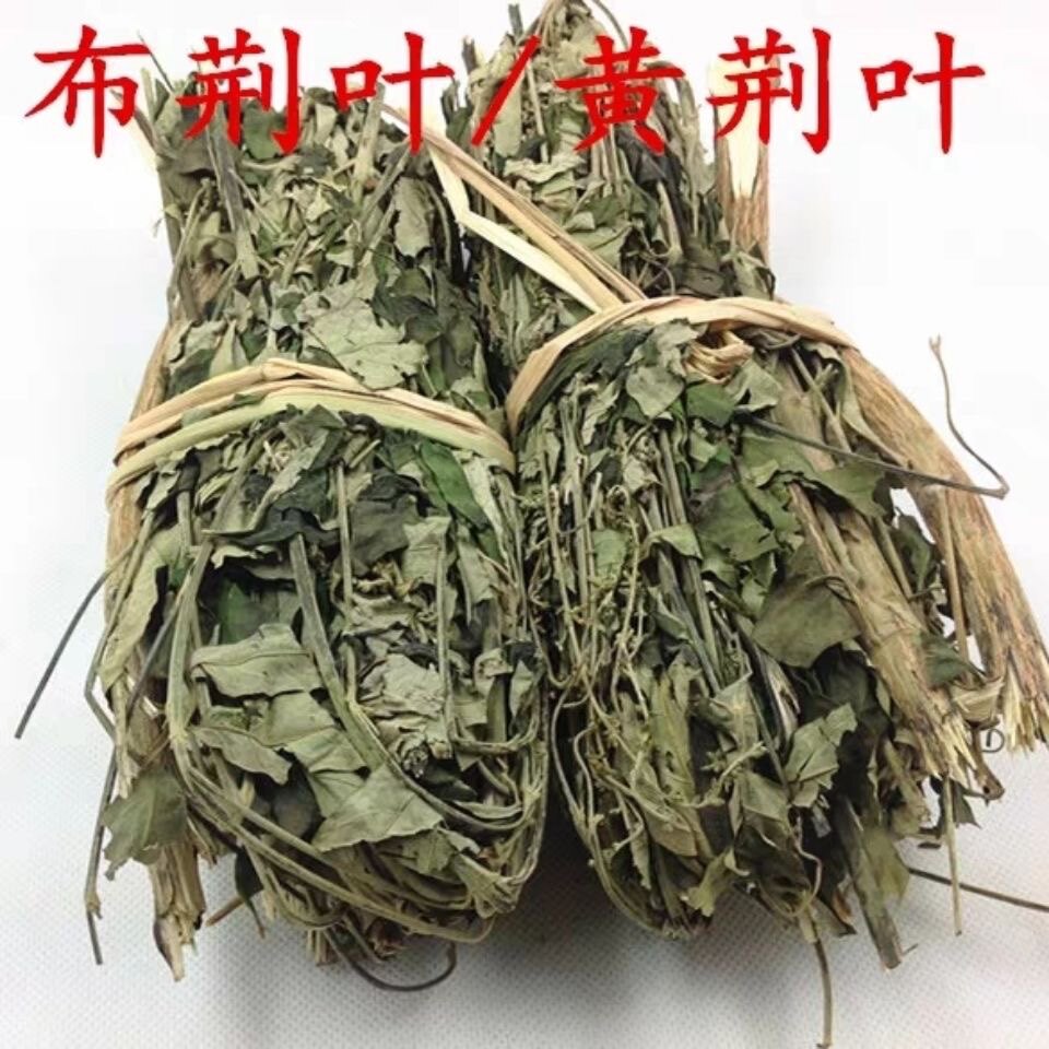 天然布惊树叶布荆草黄荆条棵五指柑 土柴胡 五指风牡荆草干货500g