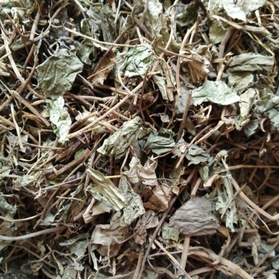 犁壁藤 粪箕笃 千金藤田鸡草飞天雷公青蛙藤雷林嘴三角藤干货500g