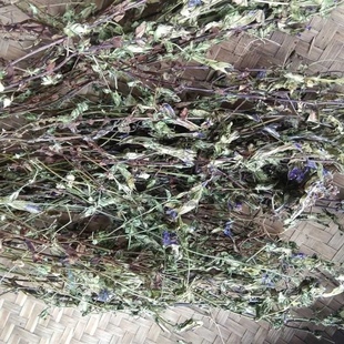天然红花龙胆草 红龙胆 小青鱼胆 星秀花 全草干货500g包邮