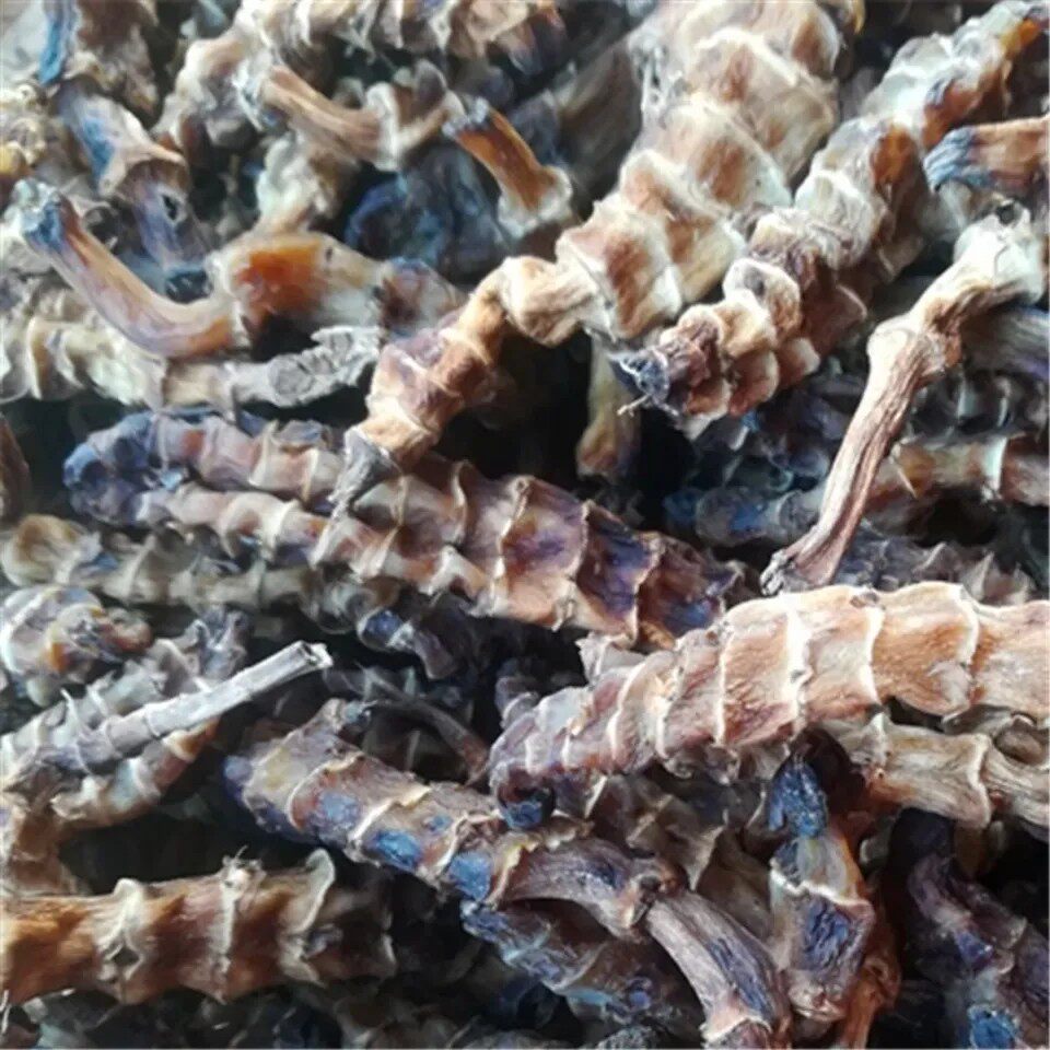 天然地参 虫草参 地龙菜 高山地参干货500g包邮