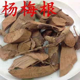 天然杨梅树根 山杨梅根 圣生梅根 纯根干货 500g包邮