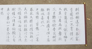 唐伯虎唐寅行书落花诗册水写布 毛笔书法清水万次练字