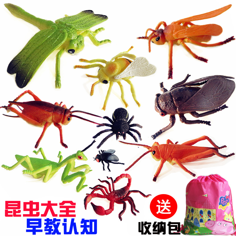ºûµûòßòÑ