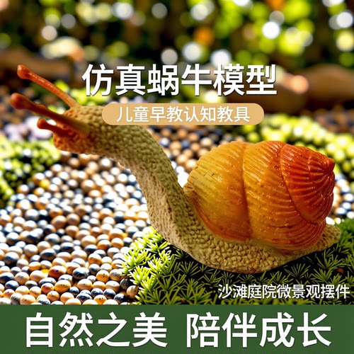 仿真蜗牛动物模型儿童认知玩具