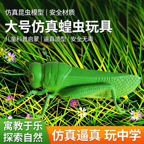 仿真大昆虫模型儿童礼物软胶玩具