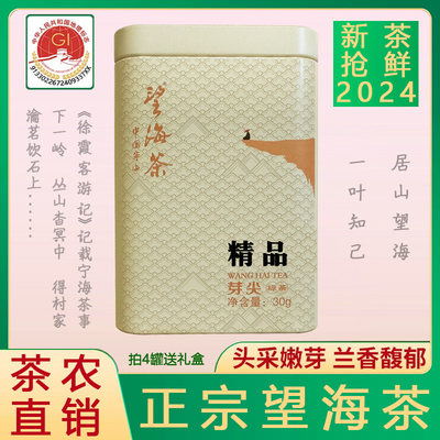 精品望海茶30克2024年明前新茶