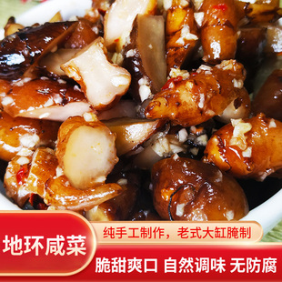 地环咸菜东北农家手工自制脆爽姜不辣下饭菜野生地环鬼子姜酱腌菜