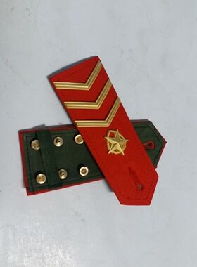收藏乐队配饰