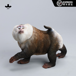 JXK 1/6网红豚尾猴模型仿真动物平顶猴子公仔GK手办摆件玩具