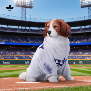 预售 JXK 科克尔犬模型 可爱萌宠狗球服手办办公桌面潮玩礼物摆件