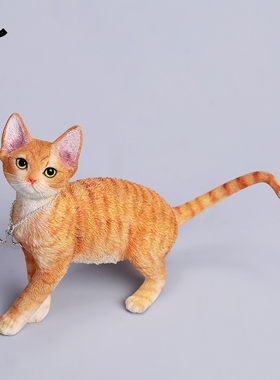 JXK1/6德文卷毛猫模型仿真小猫咪动物周边桌面摆件GK手办玩具